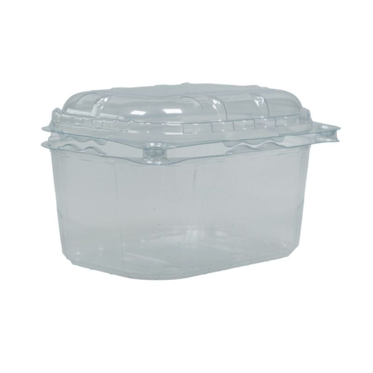 Fruitbak met vast deksel 9.5cm x 12.4cm x 7.6cm 250gr transparant