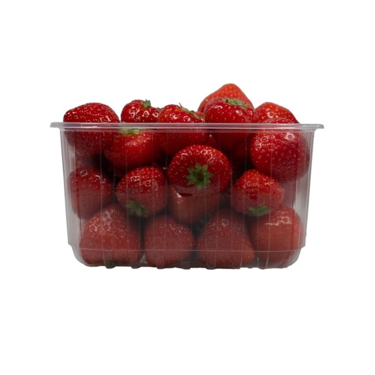 Fruitbak 12.1cm x 14.5cm x 7.5cm 500gr transparant