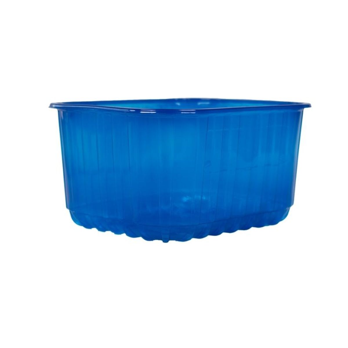 Fruitbak 12.1cm x 14.5cm x 7.5cm 500gr blauw