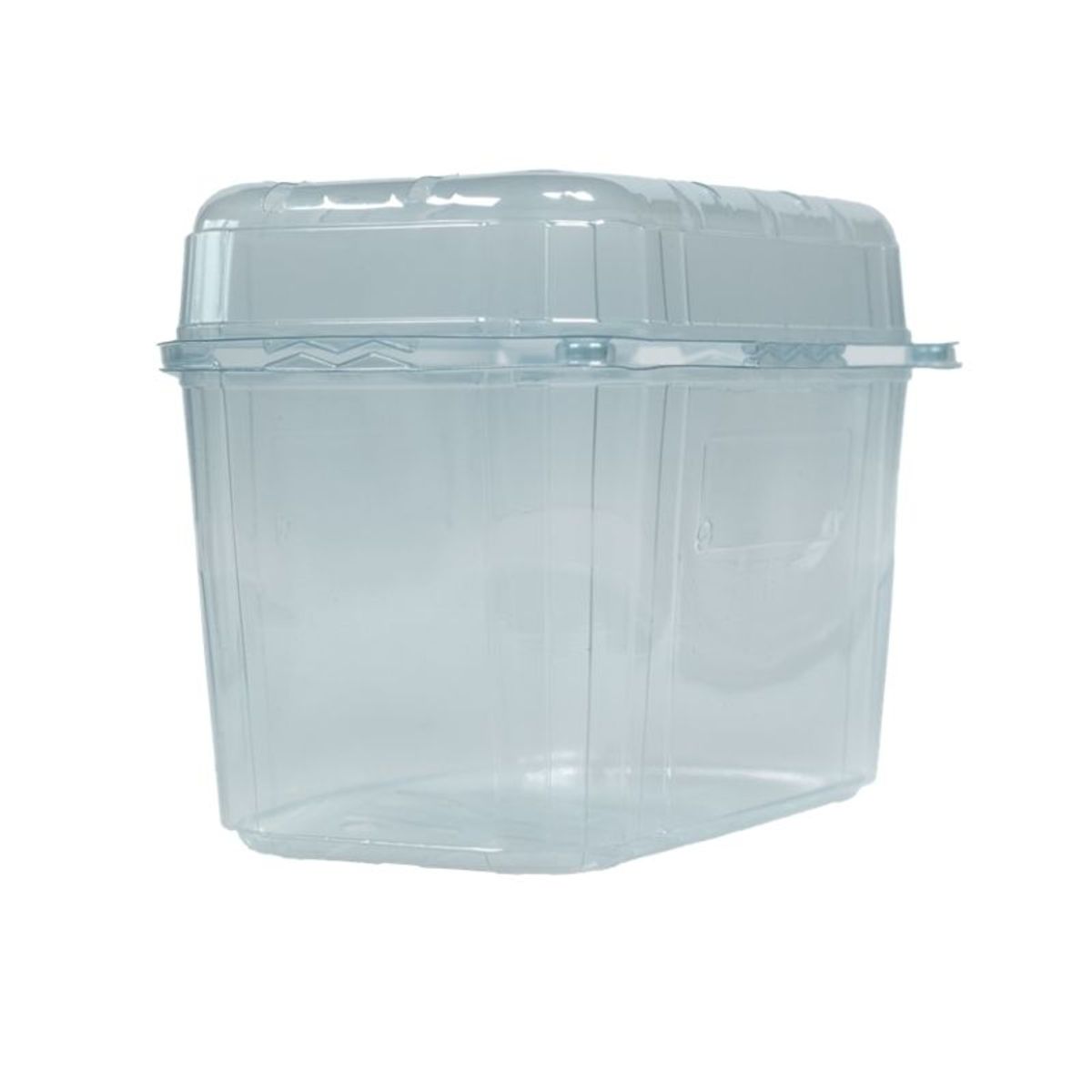 Fruitbak met vast deksel 11.4cm x 18.8cm x 13.5cm 1000gr transparant