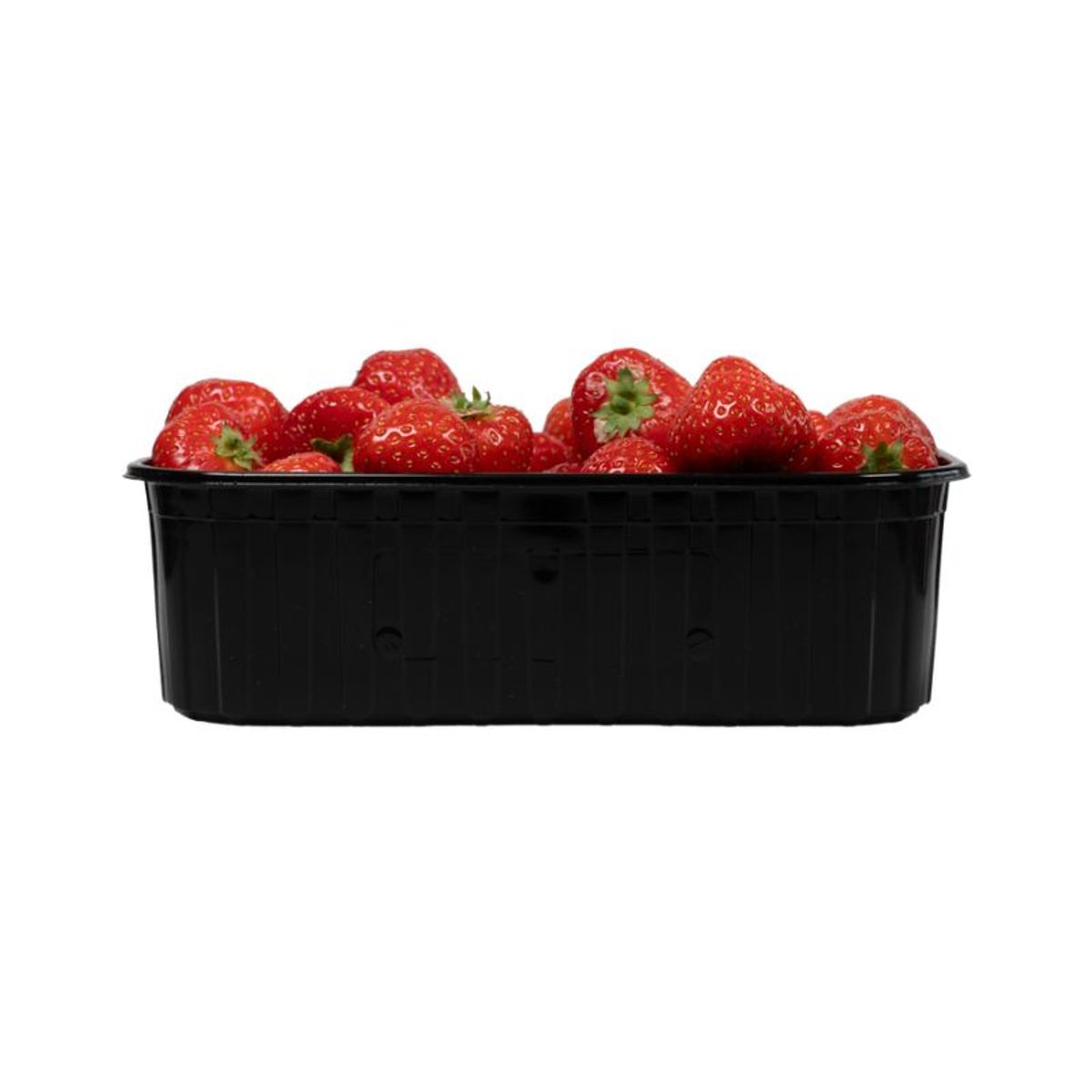 Fruitbak 11.5cm x 18.7cm x 5.8cm 500gr zwart