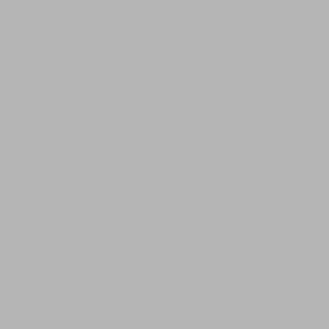 Cadeaupapier 50cm x 200m zilver 5024