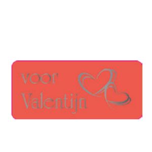 Cadeau etiket rechthoek 45x20 mm mat rood opdruk valentijn metallic zilver
