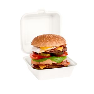 bagasse/suikerriet snackbak Hamburger bak beige 15.5x15.5x7.7 cm