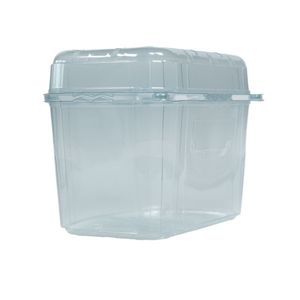 Fruitbak met vast deksel 11.4cm x 18.8cm x 13.5cm 1000gr transparant