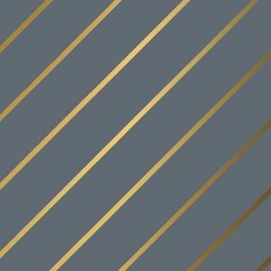Cadeaupapier 50cm x 200m 60725/15