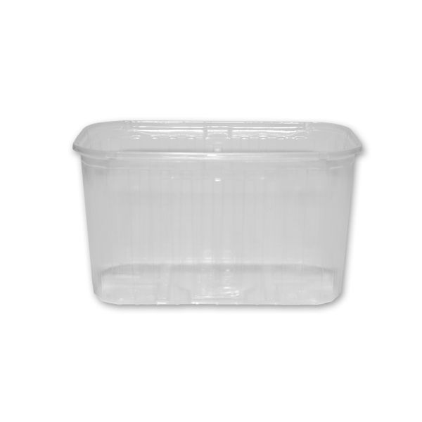 Fruitbak 11.8cm x 19.2cm x 10.5cm 1000gr transparant