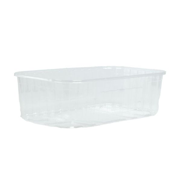 Fruitbak 11.5cm x 18.7cm x 5.8cm 500gr transparant